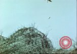 Immagine di Bombardamento di Palau Isole Palau, 1944, secondo 31 filmato di repertorio 65675065647