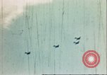 Immagine di Aerei americani Leyte Filippine, 1944, secondo 12 filmato di repertorio 65675065653
