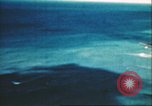 Immagine di Aerei americani Leyte Filippine, 1944, secondo 25 filmato di repertorio 65675065653
