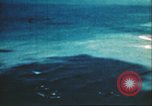 Immagine di Aerei americani Leyte Filippine, 1944, secondo 26 filmato di repertorio 65675065653