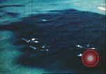 Immagine di Aerei americani Leyte Filippine, 1944, secondo 27 filmato di repertorio 65675065653