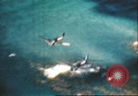 Immagine di Aerei americani Leyte Filippine, 1944, secondo 29 filmato di repertorio 65675065653