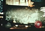 Image avions américains Philippines, 1943, de la seconde 10 séquences d'archives historiques vidéo 65675065654