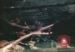Image of American aircraft Manila Philippines, 1943, second 61 stock footage video 65675065657