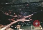 Image of American aircraft Manila Philippines, 1943, second 62 stock footage video 65675065657