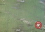 Image of gun camera footage US aircraft strafing Japanese installations World W Pacific Theater, 1945, second 12 stock footage video 65675065661