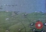 Image of gun camera footage US aircraft strafing Japanese installations World W Pacific Theater, 1945, second 33 stock footage video 65675065661