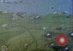 Image of gun camera footage US aircraft strafing Japanese installations World W Pacific Theater, 1945, second 34 stock footage video 65675065661