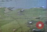 Image of gun camera footage US aircraft strafing Japanese installations World W Pacific Theater, 1945, second 35 stock footage video 65675065661