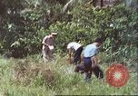 Standbild United States Navy Personal Pacific Theater, 1944, aus Sekunde 11 historischem Filmmaterial Videoclip 65675065670