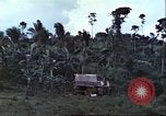 Image of native civilians Pacific Theater, 1944, second 13 stock footage video 65675065672