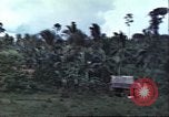 Image of native civilians Pacific Theater, 1944, second 14 stock footage video 65675065672