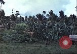 Image of native civilians Pacific Theater, 1944, second 15 stock footage video 65675065672