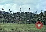 Image of native civilians Pacific Theater, 1944, second 45 stock footage video 65675065672
