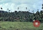 Image of native civilians Pacific Theater, 1944, second 46 stock footage video 65675065672