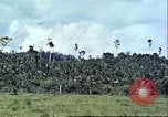 Image of native civilians Pacific Theater, 1944, second 49 stock footage video 65675065672