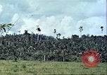 Image of native civilians Pacific Theater, 1944, second 50 stock footage video 65675065672