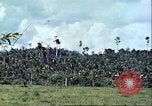 Image of native civilians Pacific Theater, 1944, second 51 stock footage video 65675065672