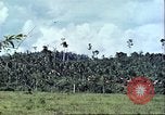 Image of native civilians Pacific Theater, 1944, second 52 stock footage video 65675065672