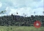 Image of native civilians Pacific Theater, 1944, second 53 stock footage video 65675065672