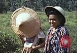 Image of native civilians Pacific Theater, 1944, second 58 stock footage video 65675065672