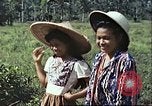 Image of native civilians Pacific Theater, 1944, second 59 stock footage video 65675065672
