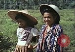 Image of native civilians Pacific Theater, 1944, second 60 stock footage video 65675065672