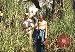 Image of native village Pacific Theater, 1944, second 8 stock footage video 65675065674