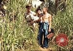 Image of native village Pacific Theater, 1944, second 14 stock footage video 65675065674
