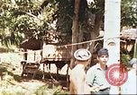Image of native village Pacific Theater, 1944, second 21 stock footage video 65675065674