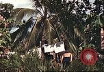 Image of native village Pacific Theater, 1944, second 27 stock footage video 65675065674
