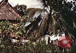 Image of native village Pacific Theater, 1944, second 28 stock footage video 65675065674