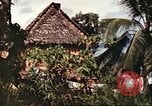 Image of native village Pacific Theater, 1944, second 29 stock footage video 65675065674