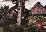 Image of native village Pacific Theater, 1944, second 32 stock footage video 65675065674