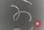 Image of Berlin elections Berlin Germany, 1920, second 38 stock footage video 65675065685