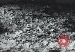 Image of German Chancellery Berlin Germany, 1945, second 52 stock footage video 65675065712