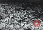 Image of German Chancellery Berlin Germany, 1945, second 54 stock footage video 65675065712