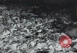 Image of German Chancellery Berlin Germany, 1945, second 56 stock footage video 65675065712