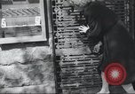 Standbild Reichstag Berlin Deutschland, 1949, aus Sekunde 11 historischem Filmmaterial Videoclip 65675065716