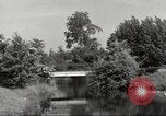 Immagine di Il Tiergarten Berlino Germania, 1953, secondo 15 filmato di repertorio 65675065724