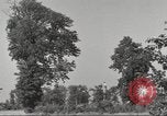 Immagine di Il Tiergarten Berlino Germania, 1953, secondo 36 filmato di repertorio 65675065724