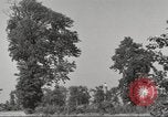 Immagine di Il Tiergarten Berlino Germania, 1953, secondo 37 filmato di repertorio 65675065724
