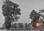 Immagine di Il Tiergarten Berlino Germania, 1953, secondo 38 filmato di repertorio 65675065724