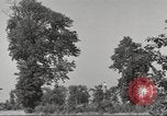 Immagine di Il Tiergarten Berlino Germania, 1953, secondo 39 filmato di repertorio 65675065724