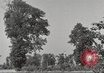Immagine di Il Tiergarten Berlino Germania, 1953, secondo 40 filmato di repertorio 65675065724