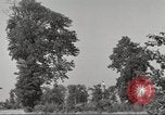 Immagine di Il Tiergarten Berlino Germania, 1953, secondo 41 filmato di repertorio 65675065724