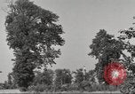 Immagine di Il Tiergarten Berlino Germania, 1953, secondo 42 filmato di repertorio 65675065724