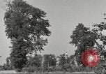 Immagine di Il Tiergarten Berlino Germania, 1953, secondo 43 filmato di repertorio 65675065724