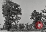 Immagine di Il Tiergarten Berlino Germania, 1953, secondo 44 filmato di repertorio 65675065724
