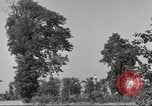 Immagine di Il Tiergarten Berlino Germania, 1953, secondo 45 filmato di repertorio 65675065724